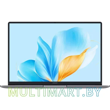 Ноутбук HONOR MagicBook X14 FRG-X (5301ALXL) картинка 2